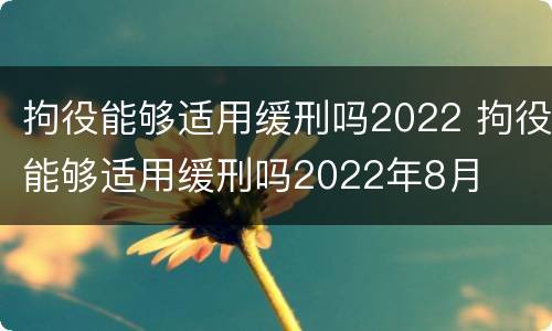 拘役能够适用缓刑吗2022 拘役能够适用缓刑吗2022年8月