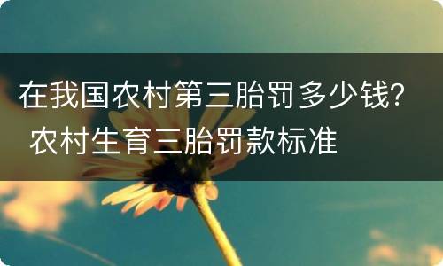 在我国农村第三胎罚多少钱？ 农村生育三胎罚款标准