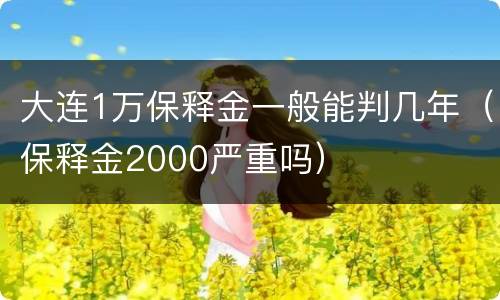 大连1万保释金一般能判几年（保释金2000严重吗）