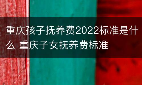 重庆孩子抚养费2022标准是什么 重庆子女抚养费标准
