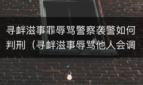 寻衅滋事罪辱骂警察袭警如何判刑（寻衅滋事辱骂他人会调查吗）