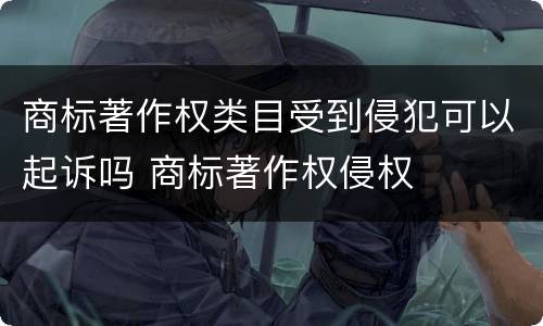 商标著作权类目受到侵犯可以起诉吗 商标著作权侵权