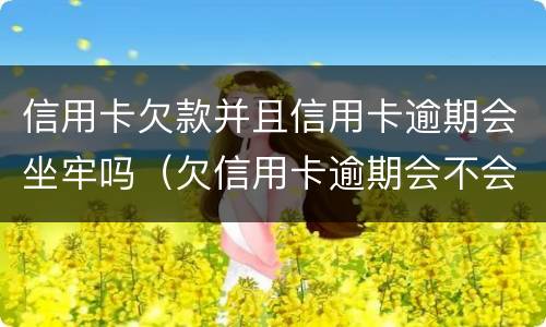 信用卡欠款并且信用卡逾期会坐牢吗（欠信用卡逾期会不会坐牢）