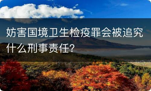 妨害国境卫生检疫罪会被追究什么刑事责任？
