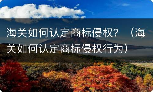海关如何认定商标侵权？（海关如何认定商标侵权行为）