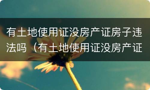 有土地使用证没房产证房子违法吗（有土地使用证没房产证房子违法吗怎么办）