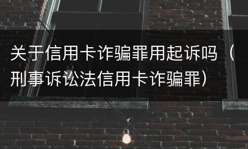 关于信用卡诈骗罪用起诉吗（刑事诉讼法信用卡诈骗罪）
