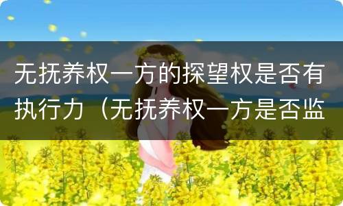 无抚养权一方的探望权是否有执行力（无抚养权一方是否监护人）