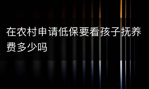 在农村申请低保要看孩子抚养费多少吗