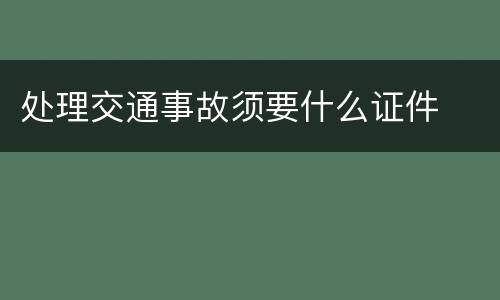 处理交通事故须要什么证件