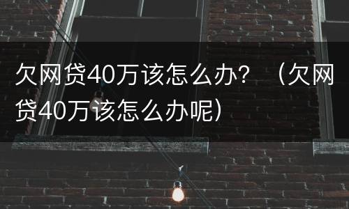 欠网贷40万该怎么办？（欠网贷40万该怎么办呢）