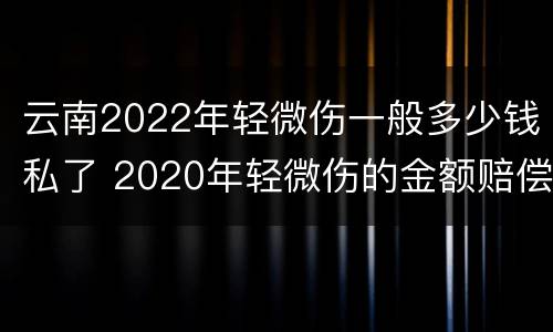 云南2022年轻微伤一般多少钱私了 2020年轻微伤的金额赔偿标准