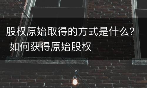 股权原始取得的方式是什么？ 如何获得原始股权
