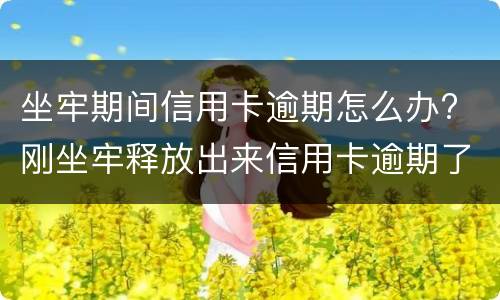 坐牢期间信用卡逾期怎么办? 刚坐牢释放出来信用卡逾期了