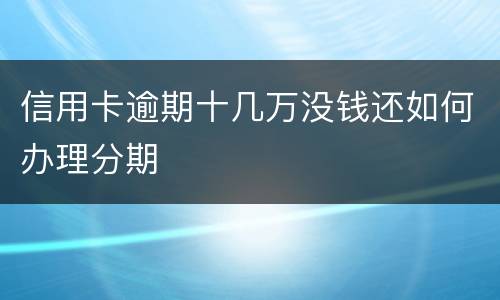 信用卡逾期十几万没钱还如何办理分期