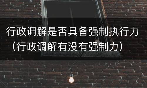 行政调解是否具备强制执行力（行政调解有没有强制力）