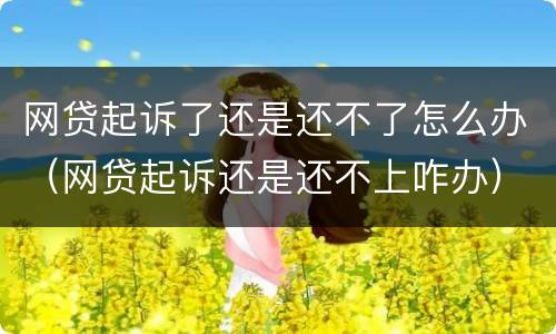 网贷起诉了还是还不了怎么办（网贷起诉还是还不上咋办）