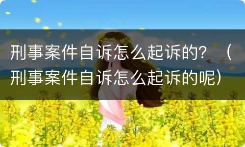 刑事案件自诉怎么起诉的？（刑事案件自诉怎么起诉的呢）