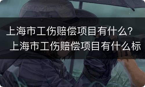 上海市工伤赔偿项目有什么？ 上海市工伤赔偿项目有什么标准