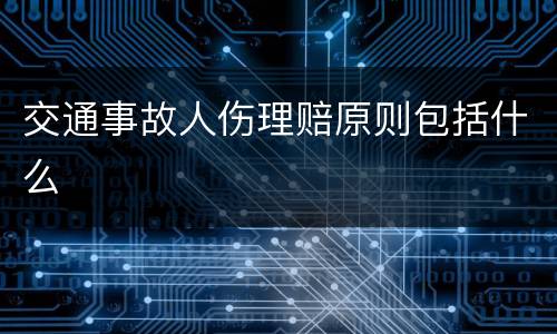 交通事故人伤理赔原则包括什么
