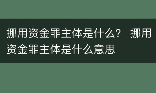 挪用资金罪主体是什么？ 挪用资金罪主体是什么意思