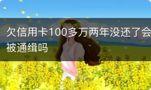 欠信用卡100多万两年没还了会被通缉吗