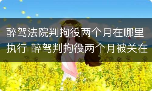 醉驾法院判拘役两个月在哪里执行 醉驾判拘役两个月被关在哪里