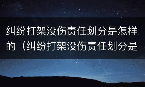 纠纷打架没伤责任划分是怎样的（纠纷打架没伤责任划分是怎样的行为）