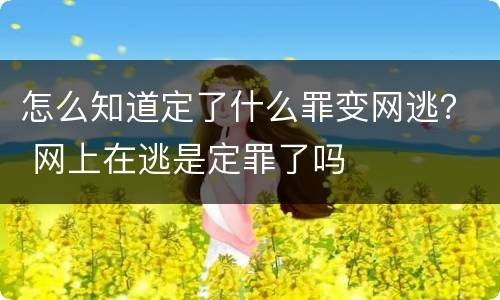 怎么知道定了什么罪变网逃？ 网上在逃是定罪了吗