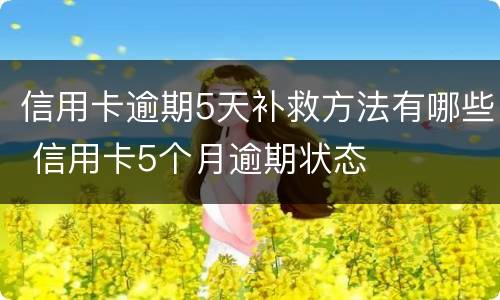 信用卡逾期5天补救方法有哪些 信用卡5个月逾期状态