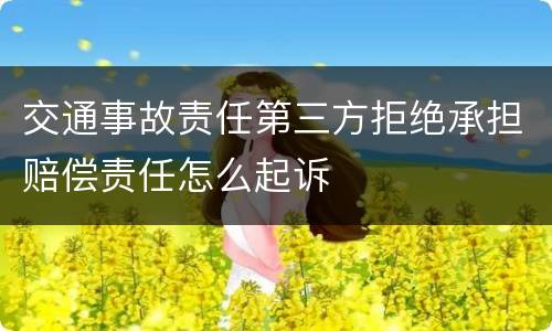 交通事故责任第三方拒绝承担赔偿责任怎么起诉