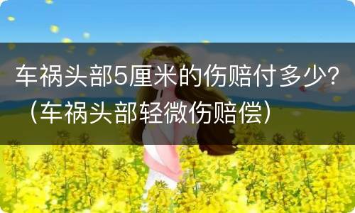 车祸头部5厘米的伤赔付多少？（车祸头部轻微伤赔偿）