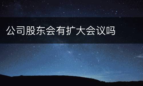 公司股东会有扩大会议吗