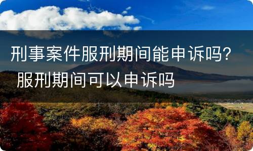 刑事案件服刑期间能申诉吗？ 服刑期间可以申诉吗