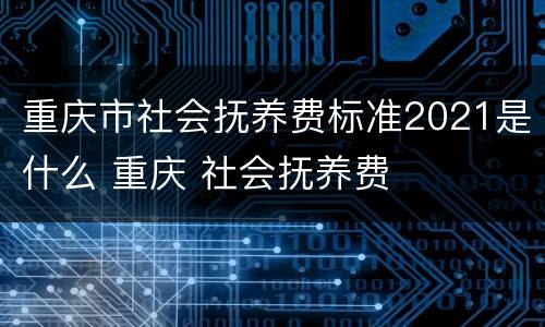 重庆市社会抚养费标准2021是什么 重庆 社会抚养费