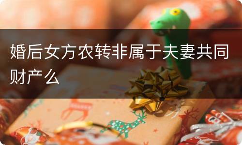 婚后女方农转非属于夫妻共同财产么