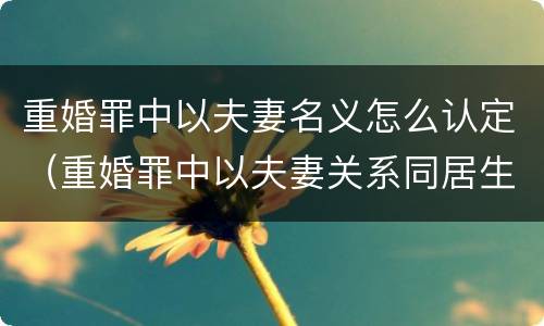 重婚罪中以夫妻名义怎么认定（重婚罪中以夫妻关系同居生活如何认定）
