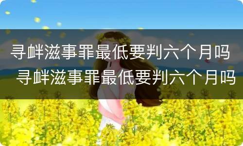 寻衅滋事罪最低要判六个月吗 寻衅滋事罪最低要判六个月吗判多少年