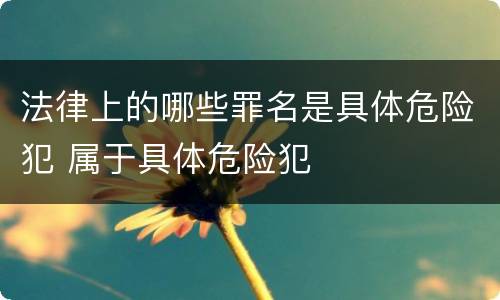 法律上的哪些罪名是具体危险犯 属于具体危险犯