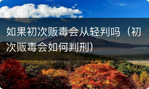 如果初次贩毒会从轻判吗（初次贩毒会如何判刑）