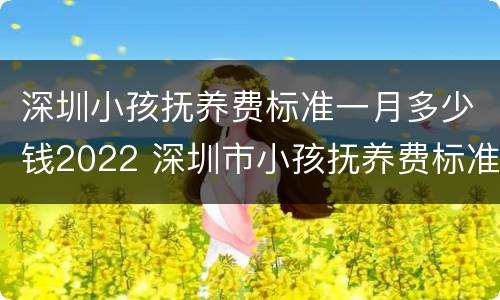 深圳小孩抚养费标准一月多少钱2022 深圳市小孩抚养费标准