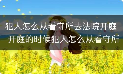 犯人怎么从看守所去法院开庭 开庭的时候犯人怎么从看守所出来