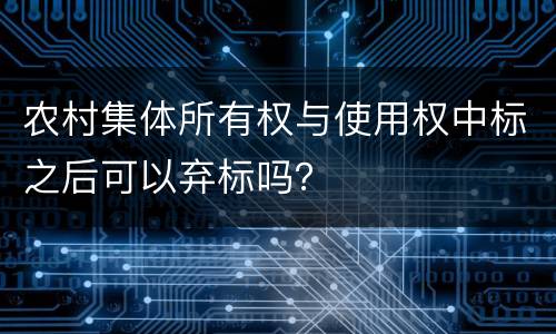 农村集体所有权与使用权中标之后可以弃标吗？