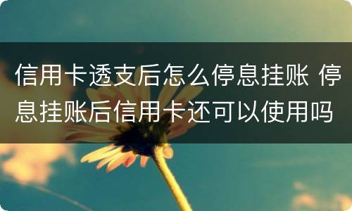 信用卡透支后怎么停息挂账 停息挂账后信用卡还可以使用吗
