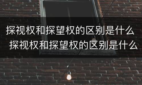 探视权和探望权的区别是什么 探视权和探望权的区别是什么意思
