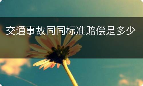 交通事故同同标准赔偿是多少