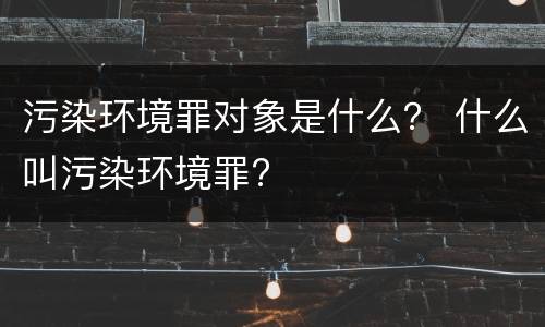 污染环境罪对象是什么？ 什么叫污染环境罪?