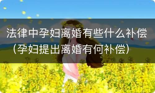 法律中孕妇离婚有些什么补偿（孕妇提出离婚有何补偿）