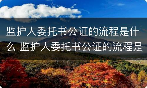 监护人委托书公证的流程是什么 监护人委托书公证的流程是什么意思