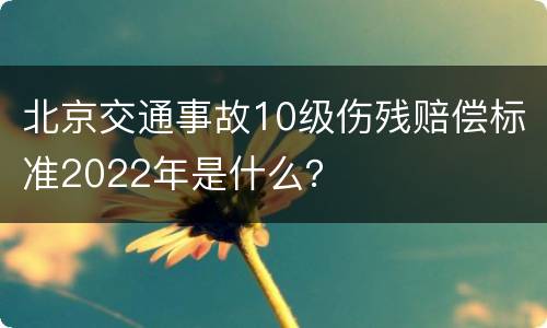 北京交通事故10级伤残赔偿标准2022年是什么？